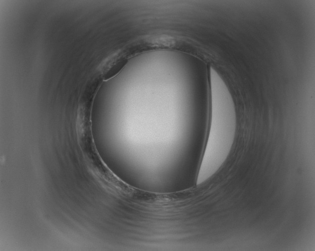 X0000081450600200701121017