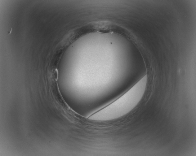 X0000081450601200701121017