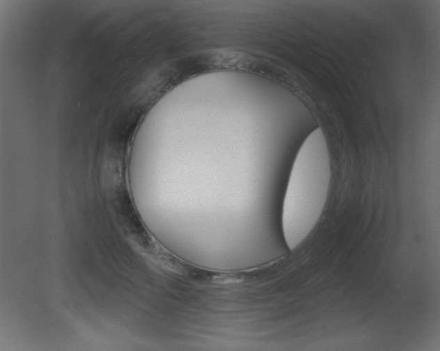 X0000081450602200701121017