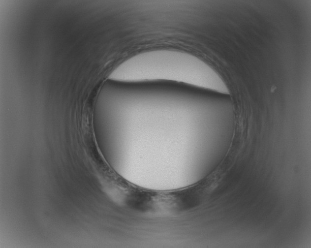 X0000081450603200701121017