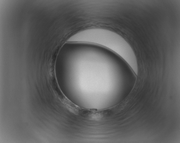 X0000081450604200701121017