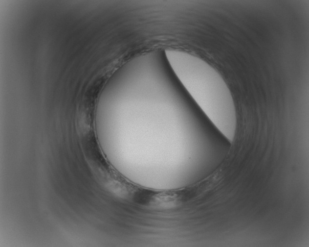 X0000081450606200701121017