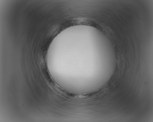 X0000081450607200701121017