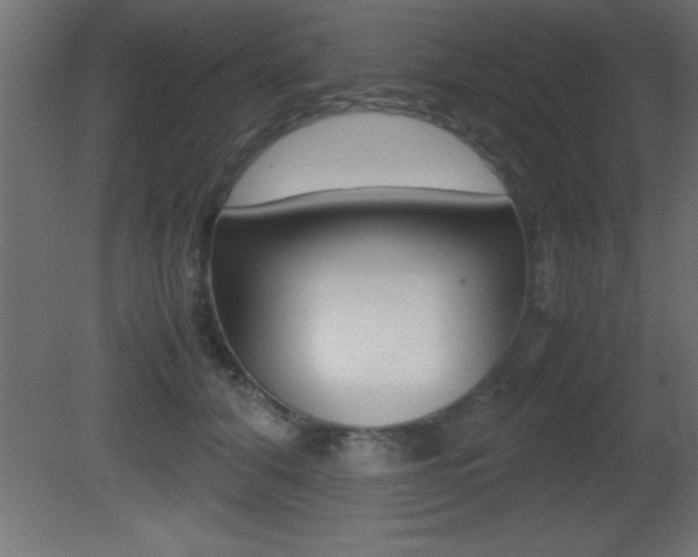 X0000081450608200701121017