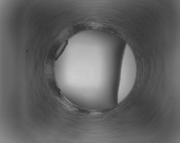 X0000081450609200701121017