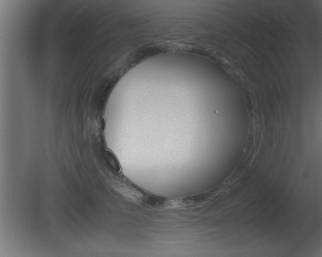 X0000081450613200701121016
