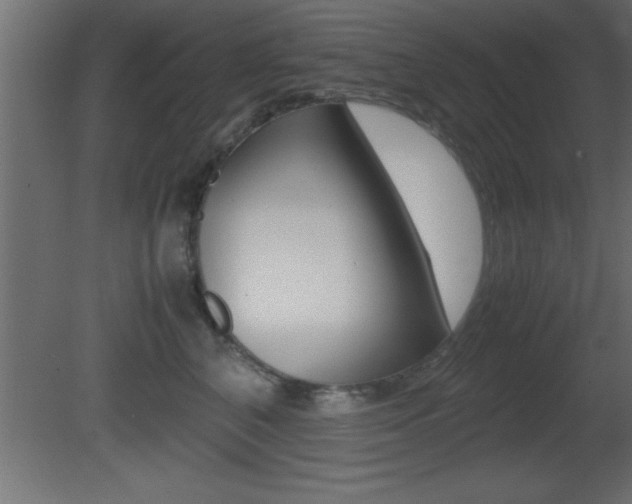 X0000081450616200701121016