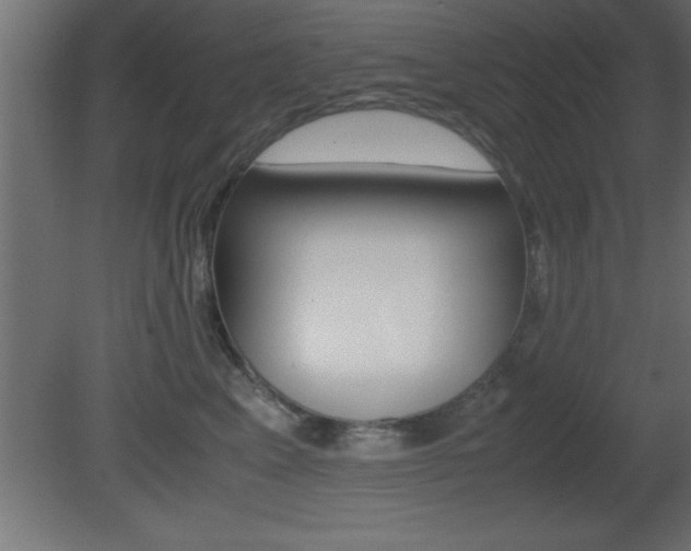X0000081450617200701121016