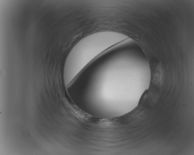 X0000081450620200701121016