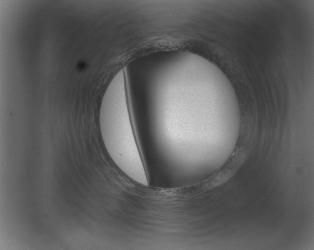 X0000081450624200701121016