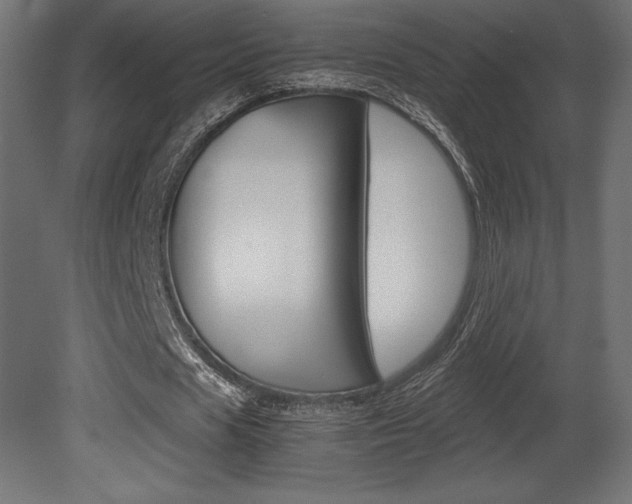X0000081450625200701121015