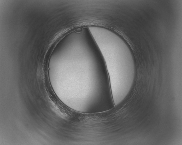 X0000081450626200701121016