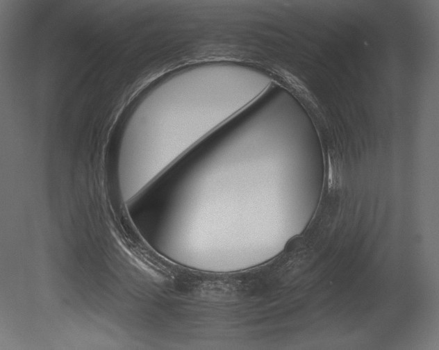 X0000081450627200701121016