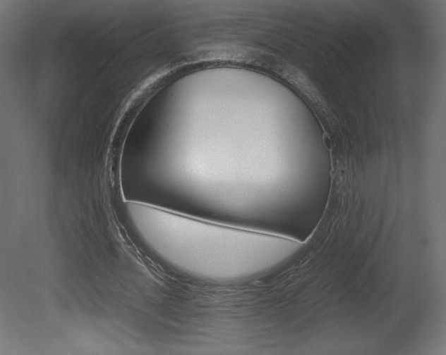 X0000081450628200701121016