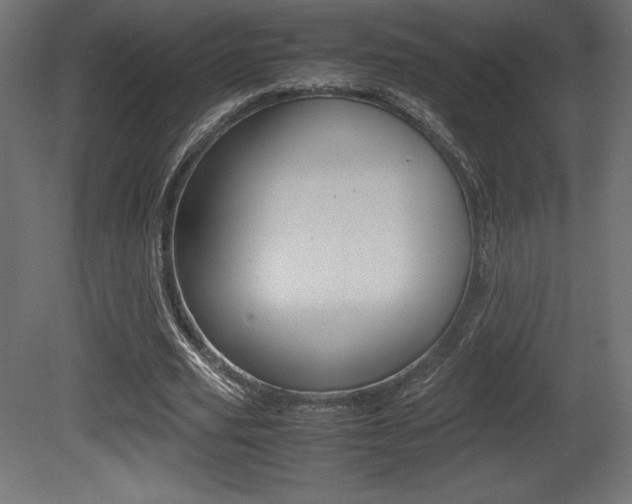 X0000081450629200701121016