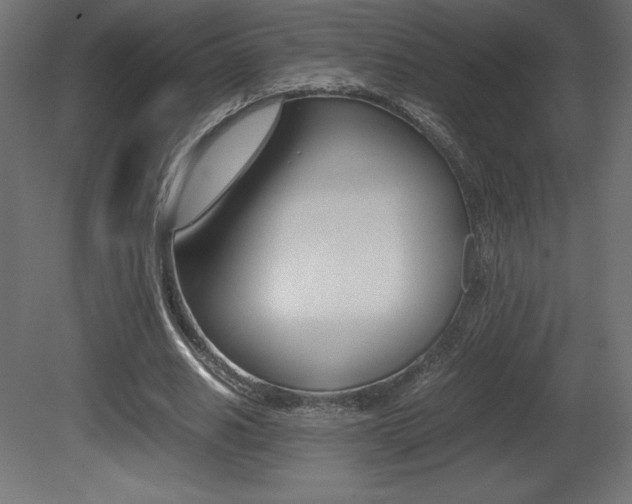 X0000081450630200701121016