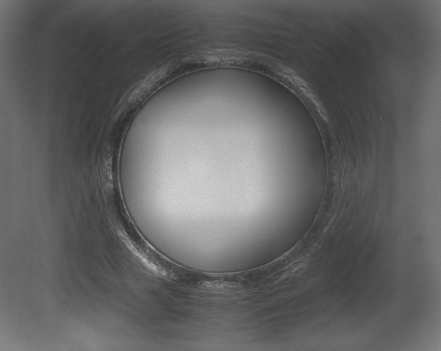 X0000081450633200701121016