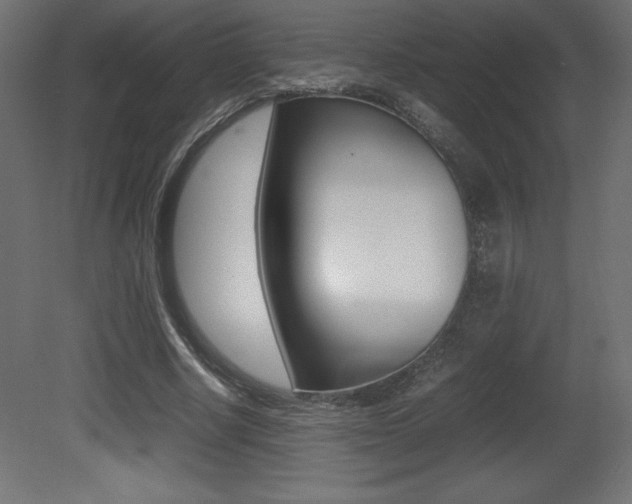 X0000081450634200701121016