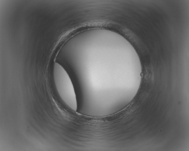 X0000081450636200701121016