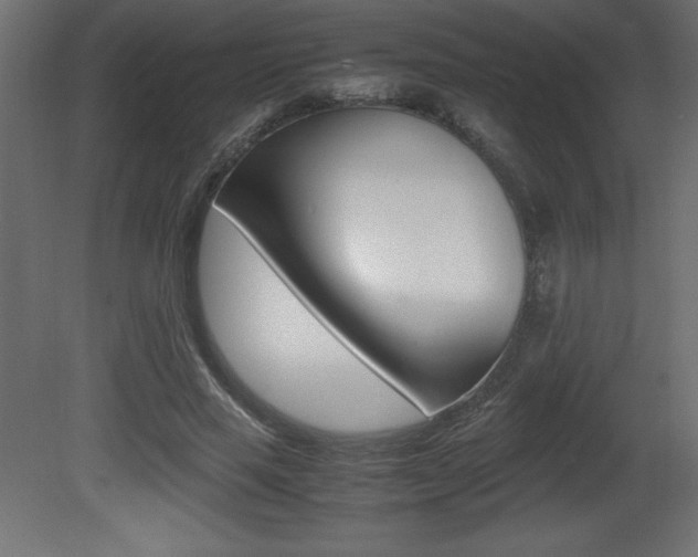 X0000081450637200701121016