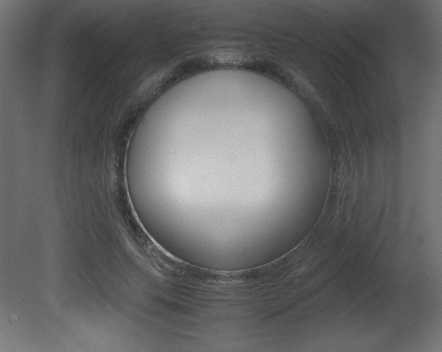 X0000081450639200701121016
