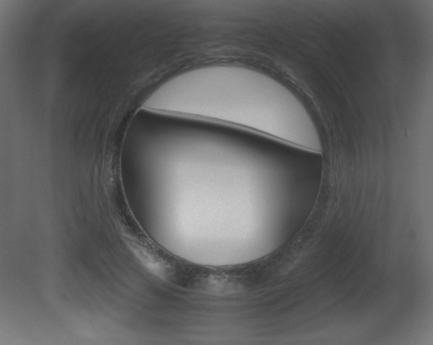 X0000081450641200701121016