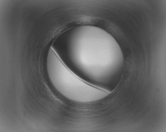 X0000081450642200701121016