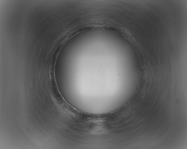 X0000081450643200701121016