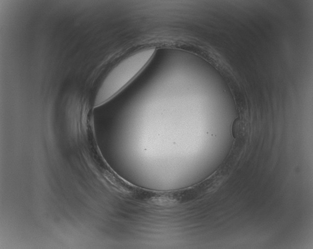 X0000081450644200701121016