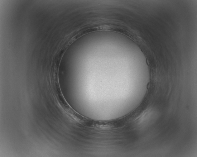 X0000081450645200701121016