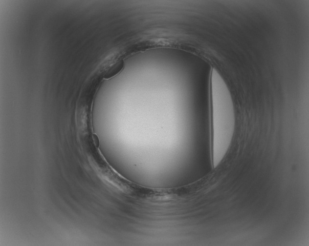 X0000081450646200701121016