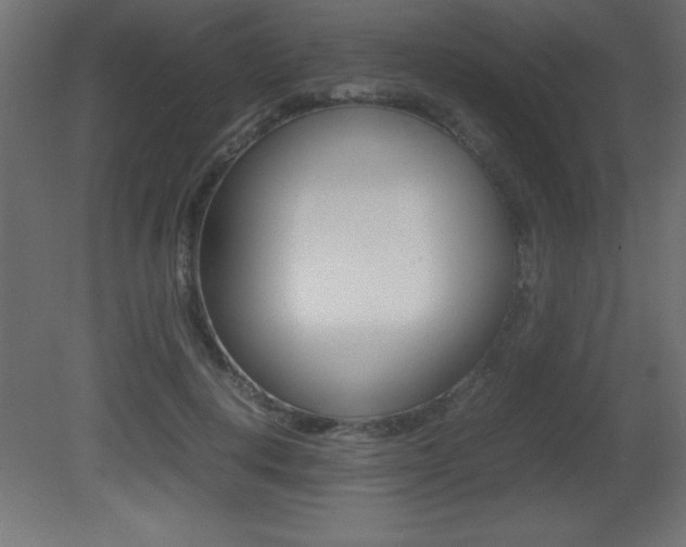 X0000081450648200701121016