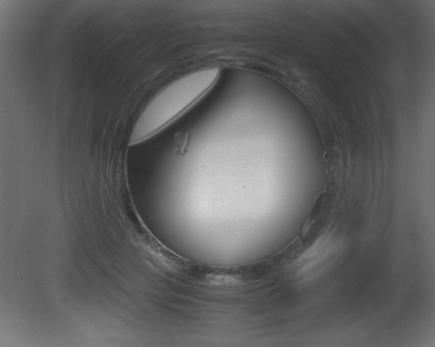 X0000081450649200701121016