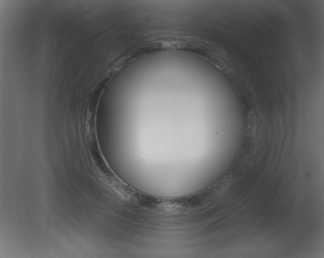 X0000081450650200701121016