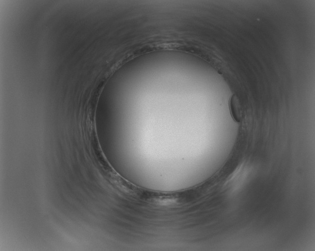 X0000081450651200701121016