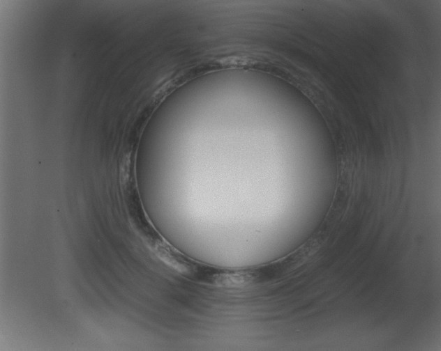 X0000081450652200701121016