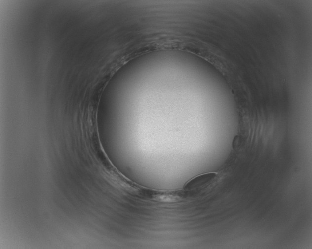 X0000081450654200701121016