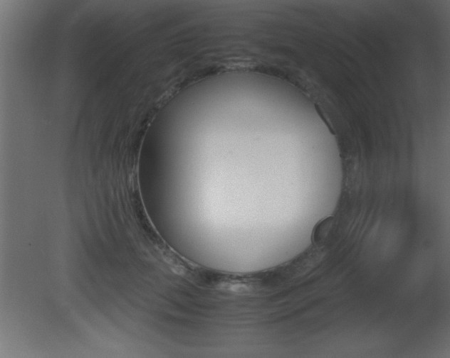 X0000081450655200701121016