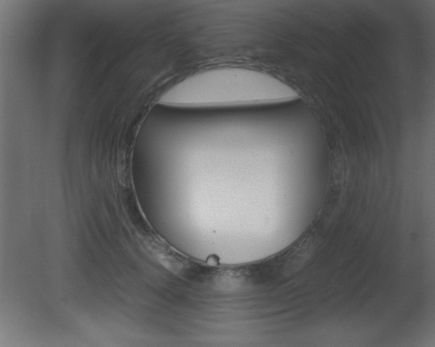 X0000081450656200701121016