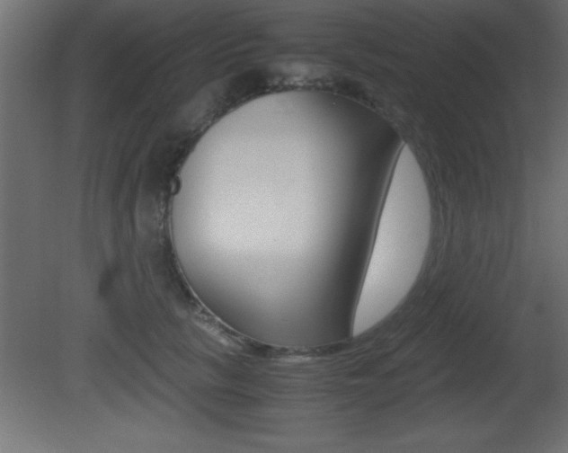 X0000081450657200701121016