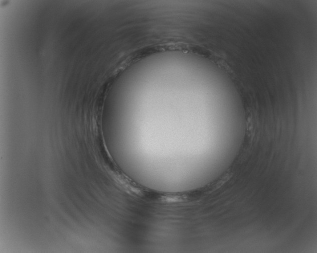 X0000081450662200701121016