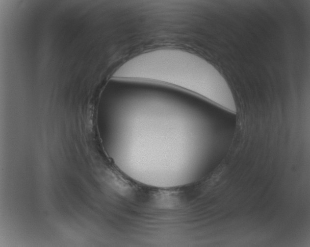X0000081450664200701121016