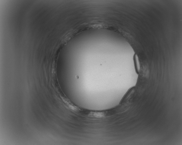 X0000081450665200701121016