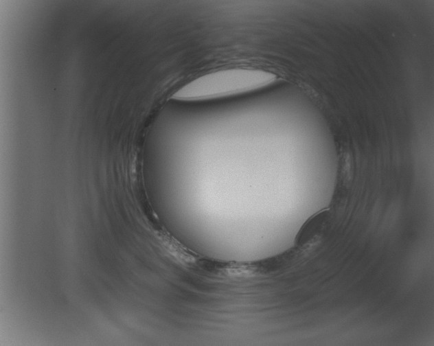 X0000081450668200701121016