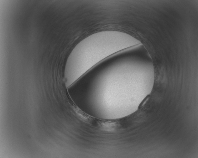 X0000081450669200701121016