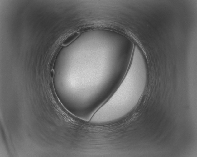 X0000081450673200701121015