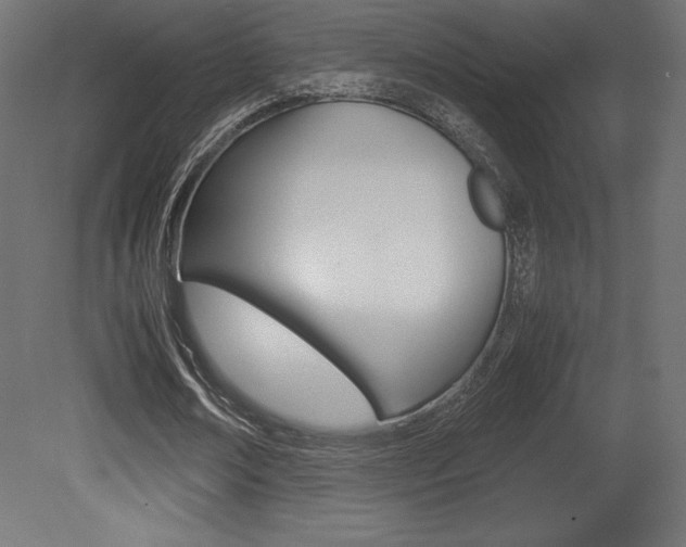 X0000081450674200701121015