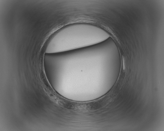 X0000081450675200701121015