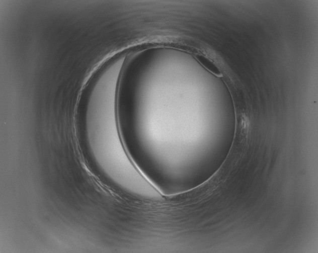 X0000081450676200701121015