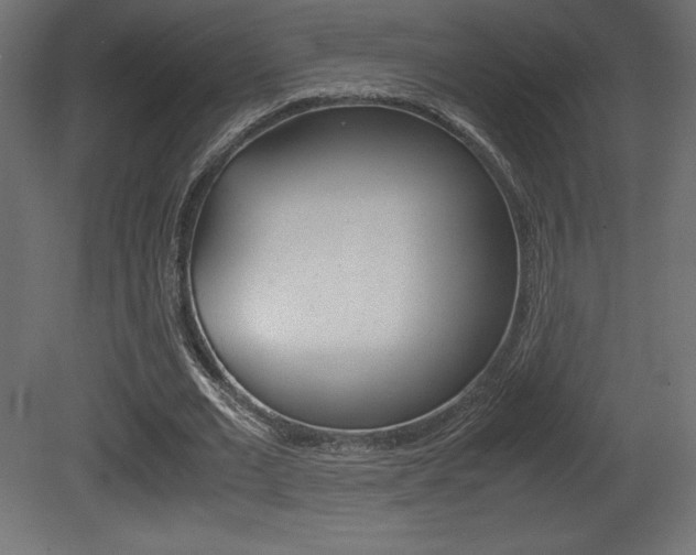 X0000081450677200701121015